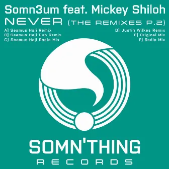 Never (Remixes, Pt. 2) by Somn3um