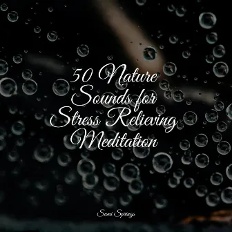 50 Nature Sounds for Stress Relieving Meditation by Calming Waves