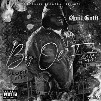 Big Ol' Facts by Cool Gotti