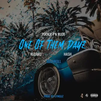 One Of Them Dayz by Pookie F'n Rude