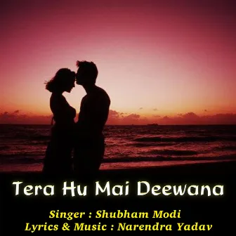 Tera Hu Mai Deewana by Shubham Modi