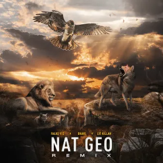 Nat Geo (Remix) by Falke 912