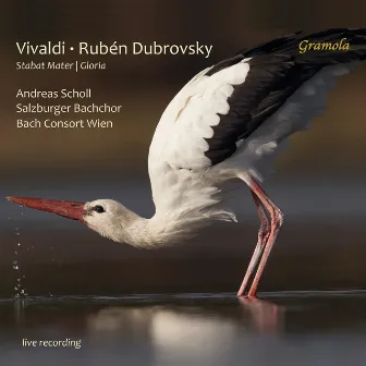 Vivaldi: Stabat Mater, Gloria & Other Works (Live) by Ruben Dubrovsky