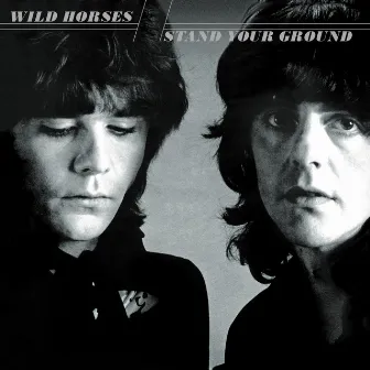 Stand Your Ground by Wild Horses