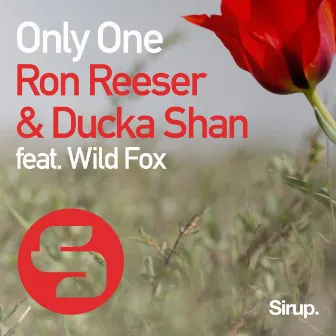 Only One by Ron Reeser