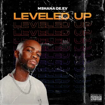 Leveled Up by Mshana De.Ev