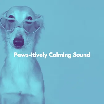 Paws-itively Calming Sound by Light Jazz Academy Paradise