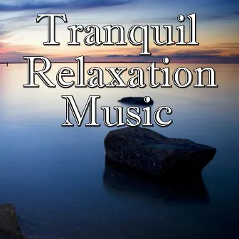 Tranquil Relaxation Music, Vol.1 by The Visions