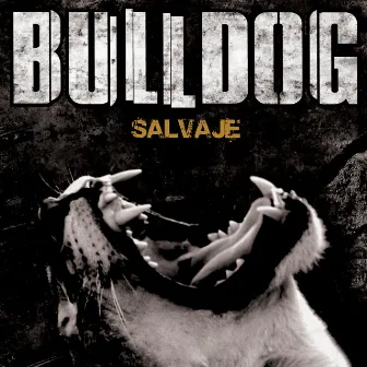 Salvaje by Bulldog