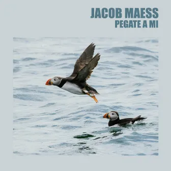 Pegate A Mi by Jacob Maess