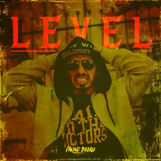 Level