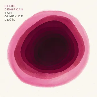 Tam Ölmek De Değil by Demir Demirkan