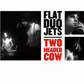 Two Headed Cow by Flat Duo Jets