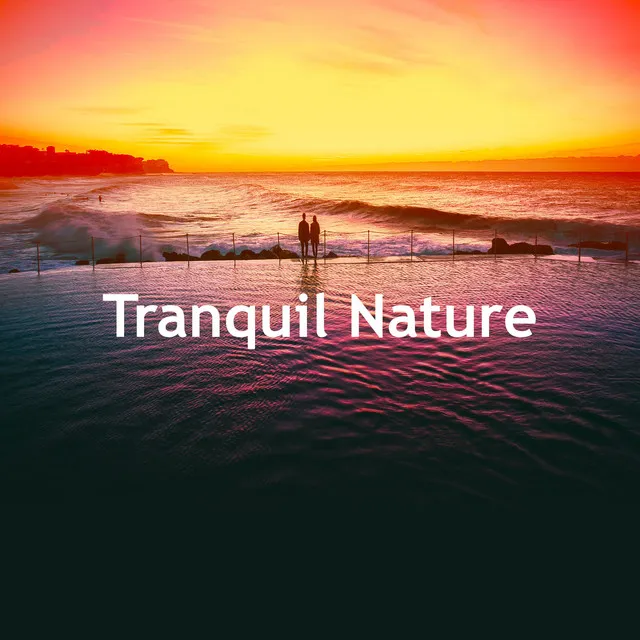 Tranquil Nature