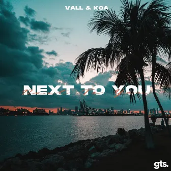 Next to You by Vall