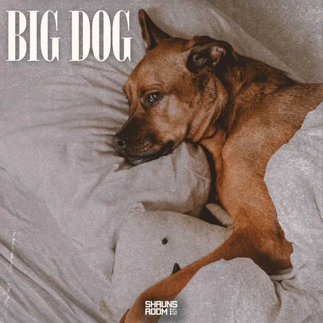 Big Dog