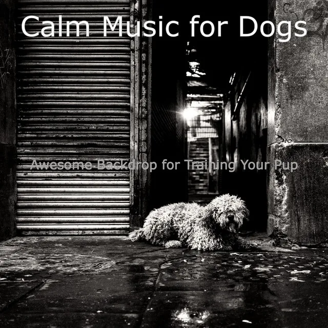 Piano Jazz Soundtrack for Training Your Pup