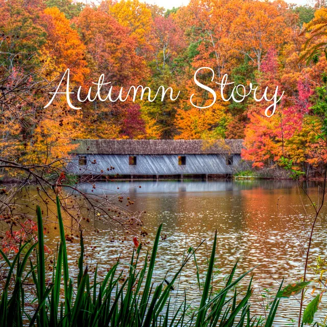 Autumn Story