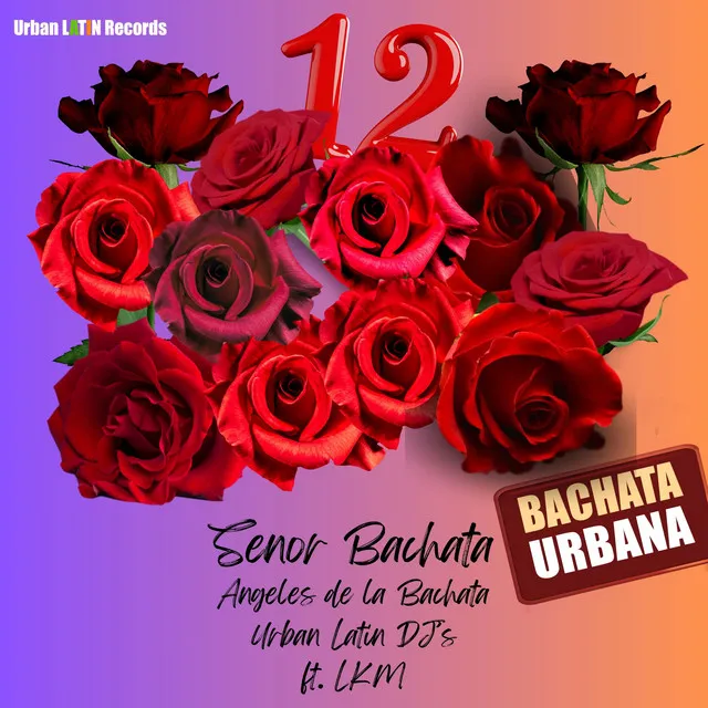 12 Rosas - Bachata Urbana