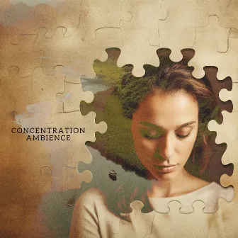 Concentration Ambience by Spa Treatment