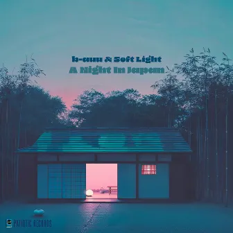 A night in Japan by Soft Light