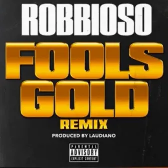 Fools Gold (Remix) by Robbioso