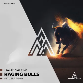 Raging Bulls by David Salow