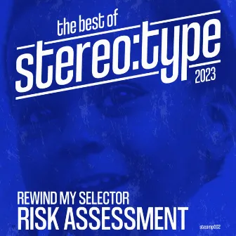 The Best of Stereo:type 2023 by Risk Assessment