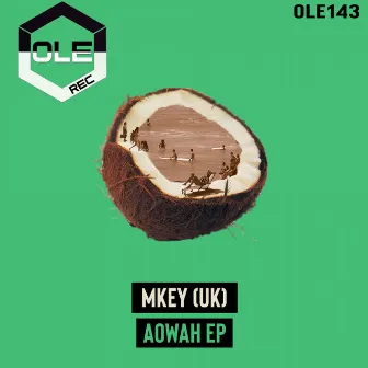 AOWAH EP by MKEY (UK)