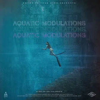 Aquatic Modulations by Adi Goldstein