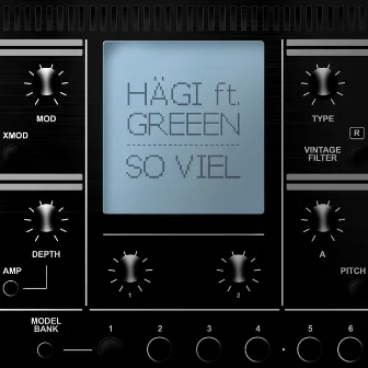 so viel by Hägi