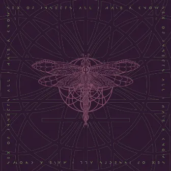 All I Have A Know by Sex Of Insects