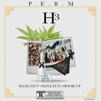 Hang Out Have Fun Hook Up by P.E.R.M