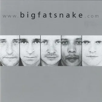 www.bigfatsnake.com by Big Fat Snake