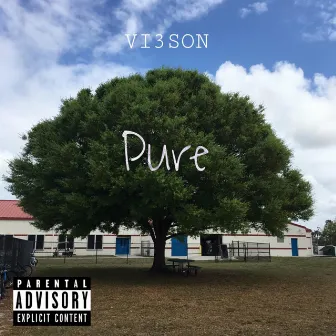 Pure by Vi3son