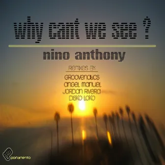 Why Can't We See? by Angel Manuel