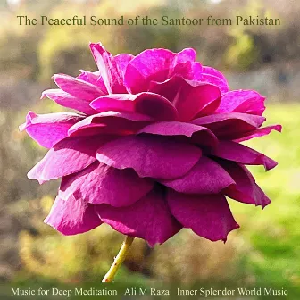 The Peaceful Sound of the Santoor from Pakistan by Ali M Raza