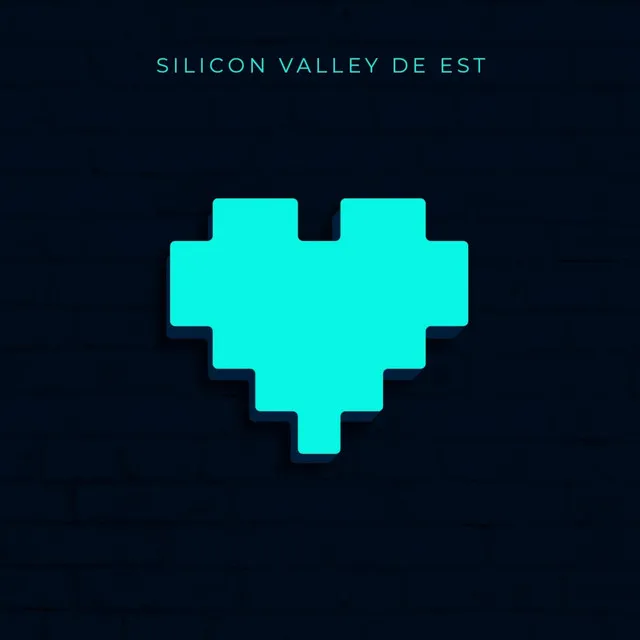 Silicon Valley de Est