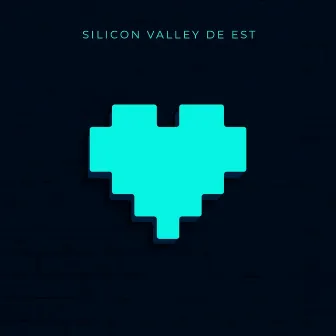 Silicon Valley de Est by Dl. Dani