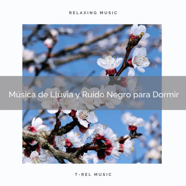 Música del Bosque y Ruido para Relajar