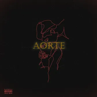 AORTE by Nemo