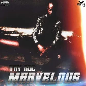 Marvelous by Tay Roc