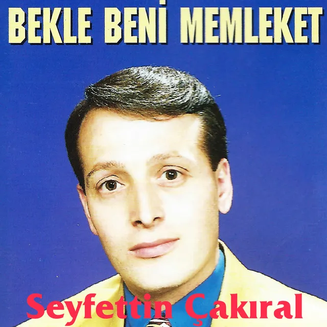 Bekle Beni Memleket