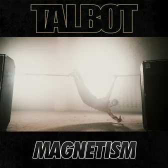 Magnetism by Talbot