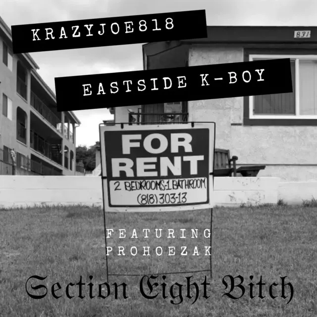 Section Eight Bitch (feat. Prohoezak)