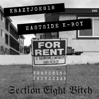 Section Eight Bitch (feat. Prohoezak) by KRAZYJOE818