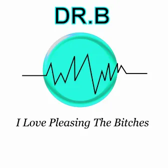 I Love Pleasing The Bitches by DR B