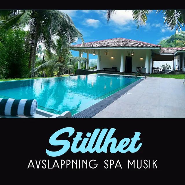 Stillhet – Avslappning spa musik, Ljud av naturen för massage, Regenerering för sinne och kropp