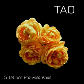 Tao by Stlr