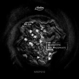 Adenosine Tri Phosphate by MLSN